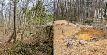 pond restoration in powder springs done by Douglasville detention pond service