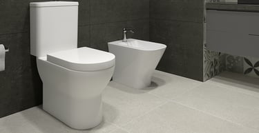 Sanitario y Bidet Nova en Zeramiq Los Palos Grandes.