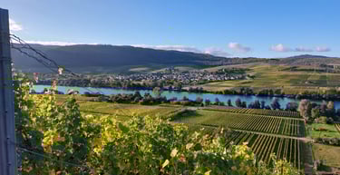 View of the Weich Winery from the Moselle
