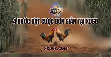 Hướng dẫn các bước đặt cược theo kinh nghiệm đá gà online xd68 2025