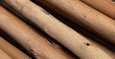 gros plan de bois de châtaignier