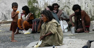 a woman sitting on the ground with pigeons and pigeons