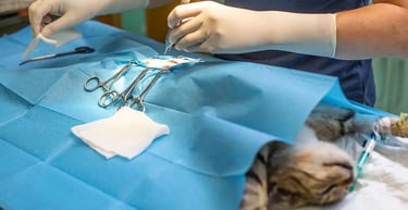 Orthopedic surgery & general surgery