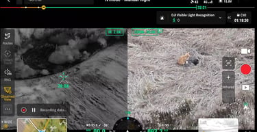 Termovizinis dronas naudojamas dingusios katės paieškai anksti ryte