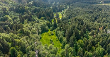 Professional Exterior Aerial - Full Property West