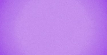 A client meeting where TechServe Solutions presents a tailored tech solution.