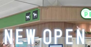 Nosotros estamos abiertos