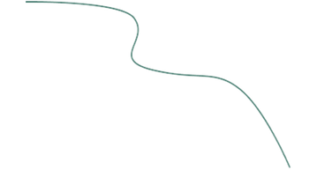 Vingiuota linija - dizaino elementas