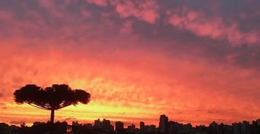 Data analyst and technical communicator