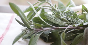 Fresh bundle of green sage herbs resting on a white linen kitchen towel with red stripes.