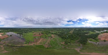 Fincas agricola y ganadera con revision de drone