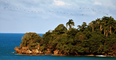 isla uvita ilha quiribri costa rica