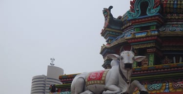 foto do templo indiando little india centro de singapura