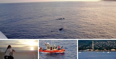 Autora navegando em navio no Havaí, observando baleias próximas à costa com paisagem tropical ao fundo