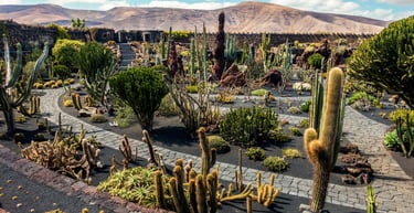 foto do jardim de cactus em Lanzarote