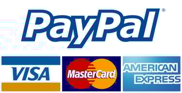paypal visa amex zahlungswege