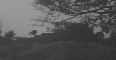 Paisaje rural melancólico en blanco y negro con colinas y árboles.