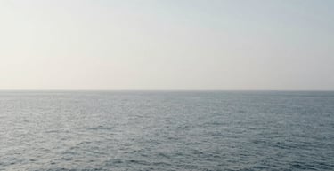 black blue and yellow textile