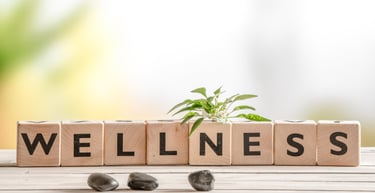 life wellness expos organizations prioritize employee well-being