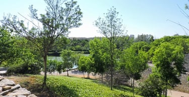 Paisaje verde del Parque de la Cabecera.