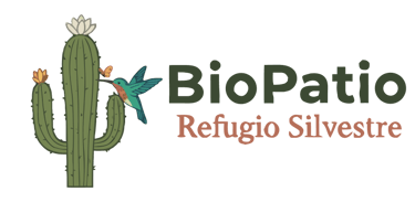 logo de Biopatio cactus con un colibri 