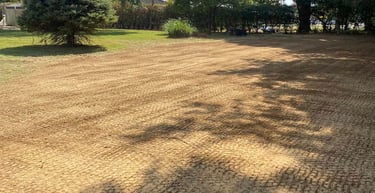 Pro Line Grading and Landscape services
