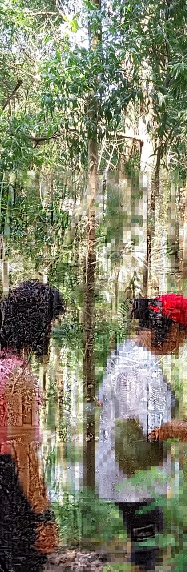 people running in woodland