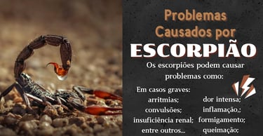 controle de pragas contra escorpiões