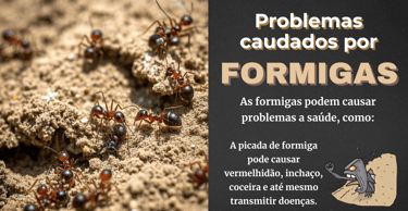 slides informativo para controle de ratos