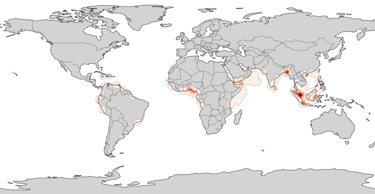 Heat-Map of modern piracy hotspots and attack zones