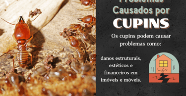 painel sobre cupins