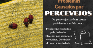 percevejo