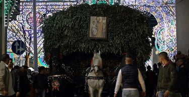 semina il vento Federica Bologna