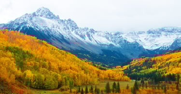 Colorado Center for Public Safety Psychiatry
