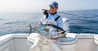 Bluefin tuna on the fly, Long Island, New York