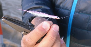 Best flies for false albacore