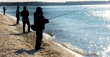 fishing for false albacore