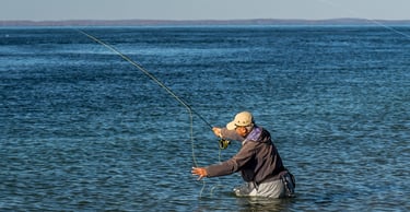 fly fishing for albies