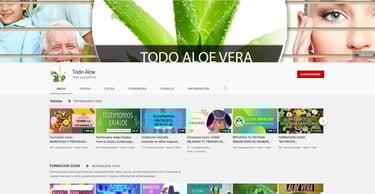 canal de youtube de todo aloe