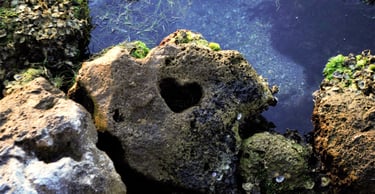 heart-rock-anna-maria-island