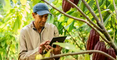 webs y aplicaciones gestion fincas permacultura, agricultura ecológica y ganadería