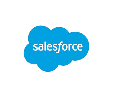 Salesforce Internship