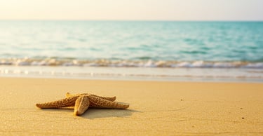 vacayjewels.com