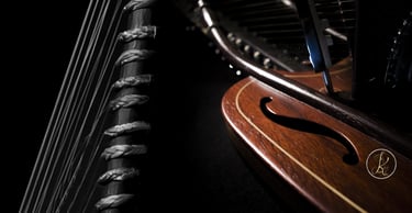 Traditional and jazzy kora neck