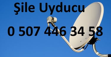 şile uyducu çanak anten ayarı televizyon servisi
