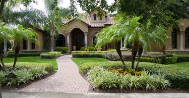 a house with a walkway and palm trees