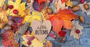 Seasonal Wax Melt Specials