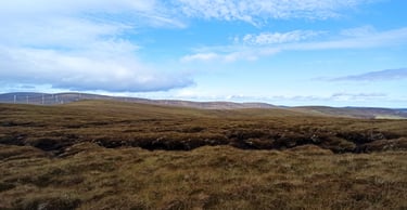 Peat peatland