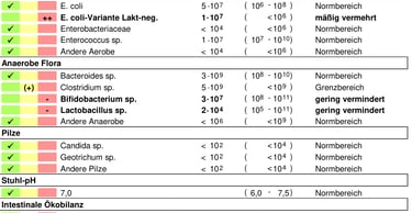 Screenshot- Kotflora Hund