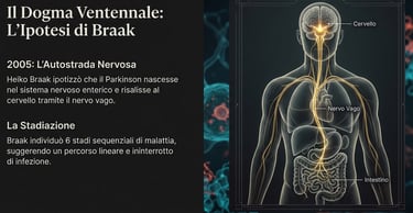 la proma teoria di Braak